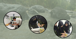 Temukan Mikroplastik di Ikan Wader Sungai Bedadung, Mahasiswa Tadris Biologi UIN KHAS JEMBER Imbau Masyarakat Berhenti Buang Sampah di Sungai